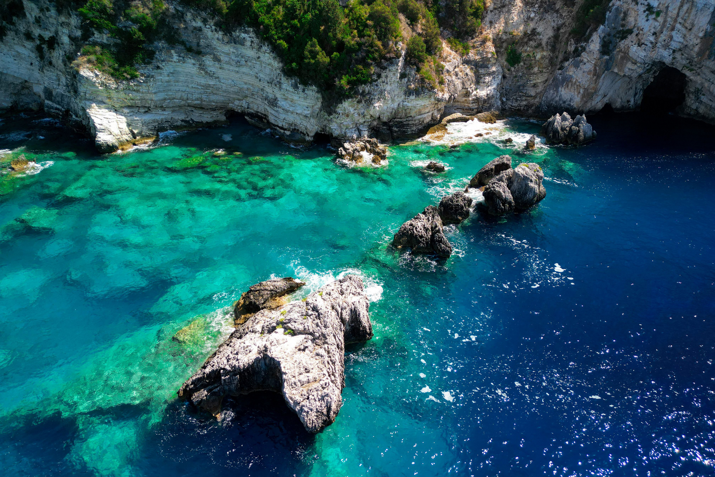antipaxos (2).webp